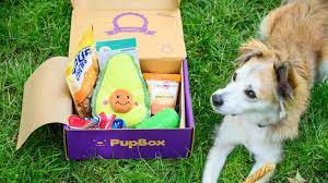 Give your dog exactly what they want. Review Of Barkbox Pupbox And Rescuebox Which Dog Subscription Box Is Best Reviewed