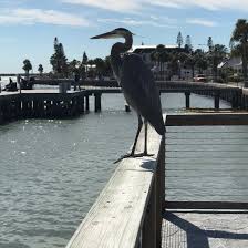 Maybe you would like to learn more about one of these? 45 Flights To St Pete Beach Florida Tripadvisor