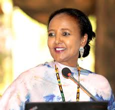 Check spelling or type a new query. Amina Mohamed Biography Net Worth Age Cv Tribe Wto And Family Abtc