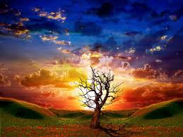Wallpaper For My Desktop Free Desktop Moving Wallpapers Nature Wallpaper Free Animated Wallpaper