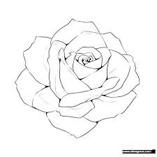 Pin By Drawing Wars Easy And Gorgeo On Emboidery Drawings Drawing Templates Rose Art Drawing