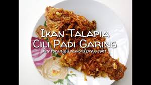 2 biji bawang merah besar; Ikan Talapia Cili Padi Goreng Garing Buat Orang Lapo