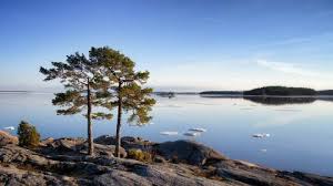 7 видео 57 просмотров обновлен 6 нояб. Finnish Nature Places Plants And Animals