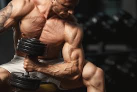 Over 40,000+ cool wallpapers to choose from. Bodybuilder 1080p 2k 4k 5k Hd Wallpapers Free Download Wallpaper Flare