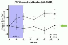 hypothesis sun produced nitric oxide reduces cardiovascular