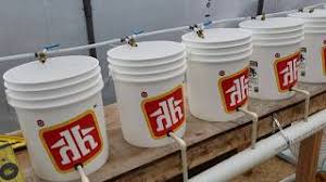 Diy Dutch Bucket Aquaponics Step By Step Youtube