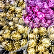 Maybe you would like to learn more about one of these? Exotic Flowers Flower Delivery Today In Boston Blog Roses
