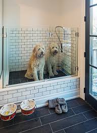 Dog Shower To The Floor Window For Pooches Cat To See Outside Dekor Kopek Haus