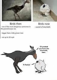 Birds Then Birds Now One Of The Most Dangerous Carnivores In Scared Of Doorbells The Post Dinosaur Era Bigger Than A Fully Grown Man Ran Up To 30 Mph Ifunny In