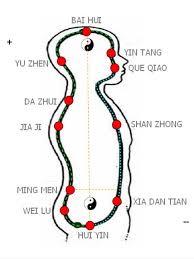 Shc Pathway Jpg 542 722 Tai Chi Qigong Qigong Chi Gong