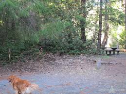 Whispering falls campground whispering falls campgroundrests along the north santiam river in the willamette national forest. Whispering Falls Campground Detroit Ranger District Santiam Oregon