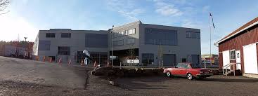 Skog — infobox musical artist name = skog img capt = the cover consist of an artwork made by erlend øye s mother. Faerder Secondary School Wikidata