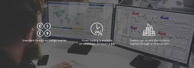 Metatrader 5 For Forex Forex Automated Trading Hong Kong Stock Exchange
