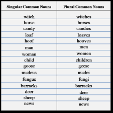 Singular And Plural Nouns Lessons Tes Teach