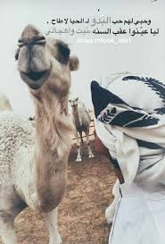 Pin By Saeed Al On Hamad 2010 Beautiful Arabic Words Arabic Funny Arabic Quotes