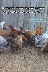 Epingle Sur Practique