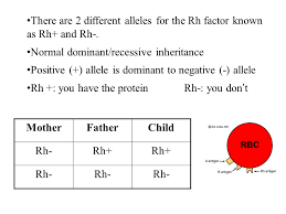 human blood groups multiple alleles and codominance ppt