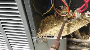 Best offers cod fast shipping. Hvac Pest Prevention Gelinas Hvac