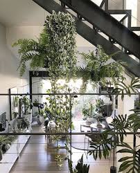 Design Your Workplace To Become An Urban Jungle Promote Healthy Working Conditions That Relieve Employees Of Stress A Indoor Plants Plants Small Indoor Plants