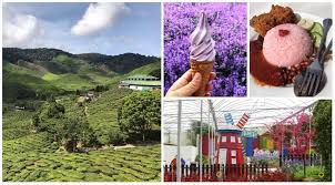 Tempat makan best di cameron highland. 12 Tempat Best Mesti Singgah Di Cameron Highlands Banyak Yang Percuma