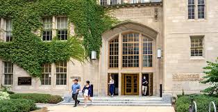 Image result for anglický setr lawerak