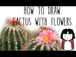 Paint along 4 easy watercolor cacti tutorial the pigeon. How To Draw A Cactus With Flowers Drawing Plants With Kids Youtube