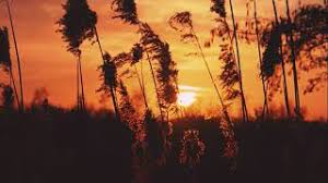 نشيد وتذكرت زماني معهم إبراهيم النقيب Youtube