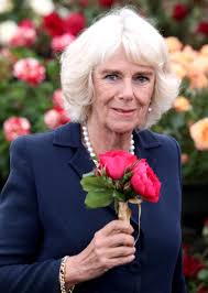 The wedding of prince charles and camilla parker bowles took place in a civil ceremony at windsor guildhall, on 9 april 2005. Who Is Camilla Parker Bowles Age Children And Marriage To Prince Charles