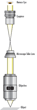 Digi microscope microscope cyclops 5m. Understanding Microscopes And Objectives Edmund Optics