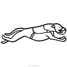 Working dogs are used to rescue, guard, pull and haul. Greyhound Coloring Page Ultra Coloring Pages