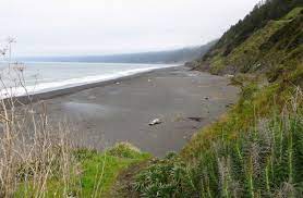 We did not find results for: Black Sands Beach Whitethorn Ca California Beaches