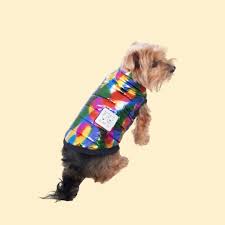 Pin On Dogs Fashion