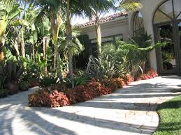 Create an exhilarating tropical retreat outdoors will give the first impression to visitors. Tropical Landscape Design Ideas Gardening Flowers 101 Gardening Flowers 101