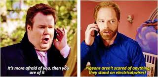 12 modern family mitchell famous sayings, quotes and quotation. Modern Family Cam Mitchell Quotes Related Pictures Cameron Tucker Aubrey Anderson Emmons Lily Tucker Modern Family Quotes Modern Family Modern Family Funny