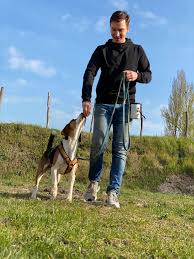 Ab den 4.advent dürfen wir unseren kleinen erstmal zu uns bringen da wird er. Ihre Hundeschule Fur Halle Saale Leipzig Ihrhundepartner