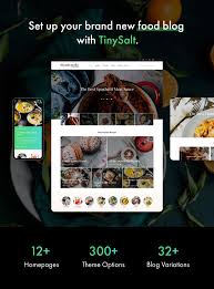 This wordpress theme is quite flexible enough to let you build the website of your imagination effortlessly. Tinysalt Personal Food Blog Wordpress Theme Best Elementor Themes