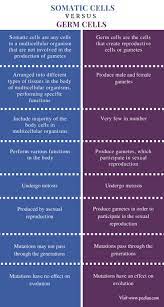 Difference Between Somatic Cells And Germ Cells Comparison Summary 1 Basic Anatomy And Physiology Study Biology Medical Laboratory Science