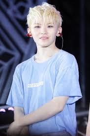 Kami.com.ph news ☛ if you have been sleeping on the ⭐ seventeen members ⭐ this is a perfect time to find out an interesting story about . Top 10 Fake Maknae Who Often Gets Misunderstood As The Youngest Kpopmap