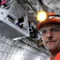 100+ "Hanks" profiles