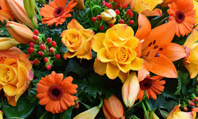 They are a lovely way to. 24 Funeral Flower Etiquette Questions Answered