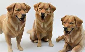 From personalised prints to hand drawn puzzles, we have a perfect gift for that special pet crazed loved one. Petprints3d Offers Individualized 3d Printed Portraits Of Our Beloved Pet Friends 3dprint Com The Voice Of 3d Printing Additive Manufacturing