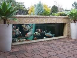 Bentuk kolam dan terbuat dari apapun kolam tersebut baik kolam tanah, kolam terpal, ataupun kolam beton juga harus diperhatikan. Mengintip 4 Cara Membuat Kolam Ikan Hias Rumahlia Com