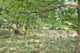 liɲ maʒino), named after the french minister of war andré maginot, is a line of concrete fortifications, obstacles, and weapon installations built by france in the 1930s to deter invasion by germany and force them to move around the fortifications. L Ouvrage Du Four A Chaux Ligne Maginot En Alsace Memoire Et Fortifications Fortifications Sites Et Lieux De Memoire
