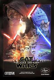 20 Of The Best Cat Wars Memes To Get You Ready For Star Wars Star Wars Memes Star Wars Humor War Movies