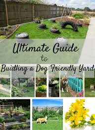 The Ultimate Guide To Building A Dog Friendly Garden Dog Friendly Backyard Dog Friendly Garden Dog Garden