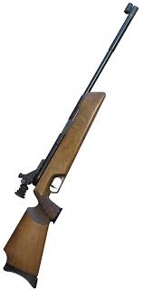 Air Guns Panosundaki Pin