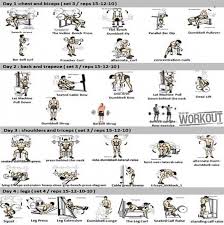 4 days full body workout plan healthy fitness chest back