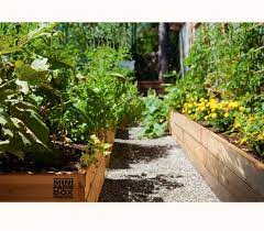 These panels link together to create long lasting, rot proof concrete garden boxes. Raised Garden Beds Minifarm Box Organic Seeds And Raised Garden Beds
