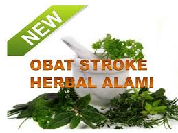 Obat Stroke Herbal Cara Mengatasi Stroke Penyakit Stroke Sembuh Dengan Cepat 2 Minggu 085867398437 Penyakit