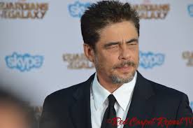 Benicio Del Toro